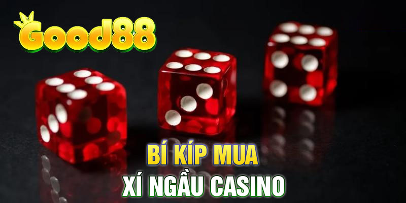 Bí Kíp Mua Xí Ngầu Casino