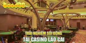 Trải nghiệm sôi động tại casino Lào Cai